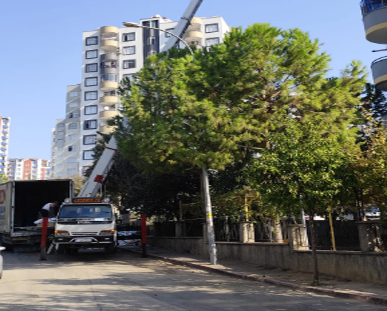 İstanbul Evden Eve Nakliyat - Evsel Taşımacılık